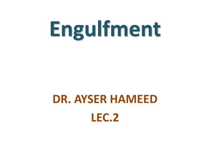 engulfment n.w