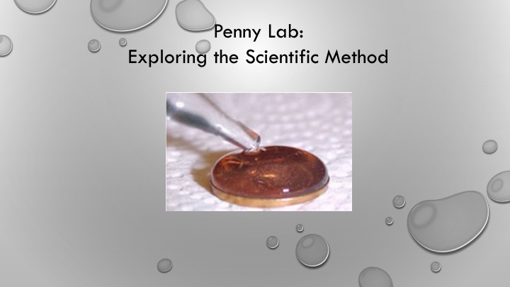 penny lab n.w