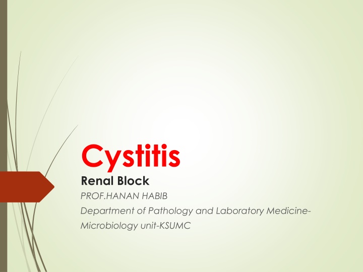 cystitis renal block prof hanan habib department n.w