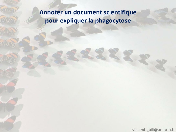 annoter un document scientifique pour expliquer n.w