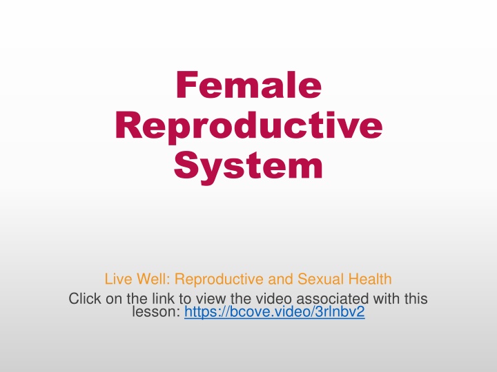 female reproductive system n.w
