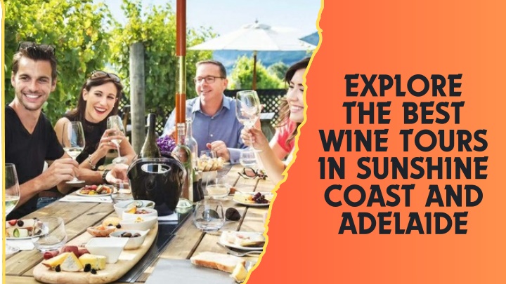 explore the best wine tours in sunshine coast n.w