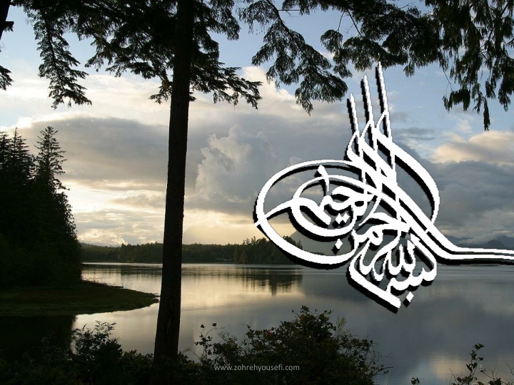 www zohrehyousefi com n.w