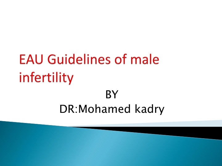 slide1 n.w