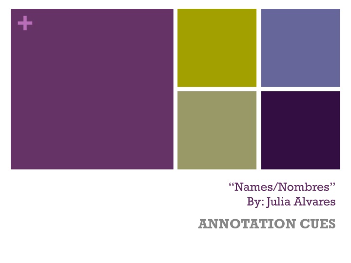 Julia Alvarez: Conflict and Change in American Society