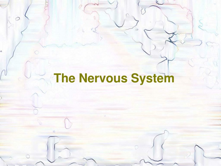 the nervous system n.w