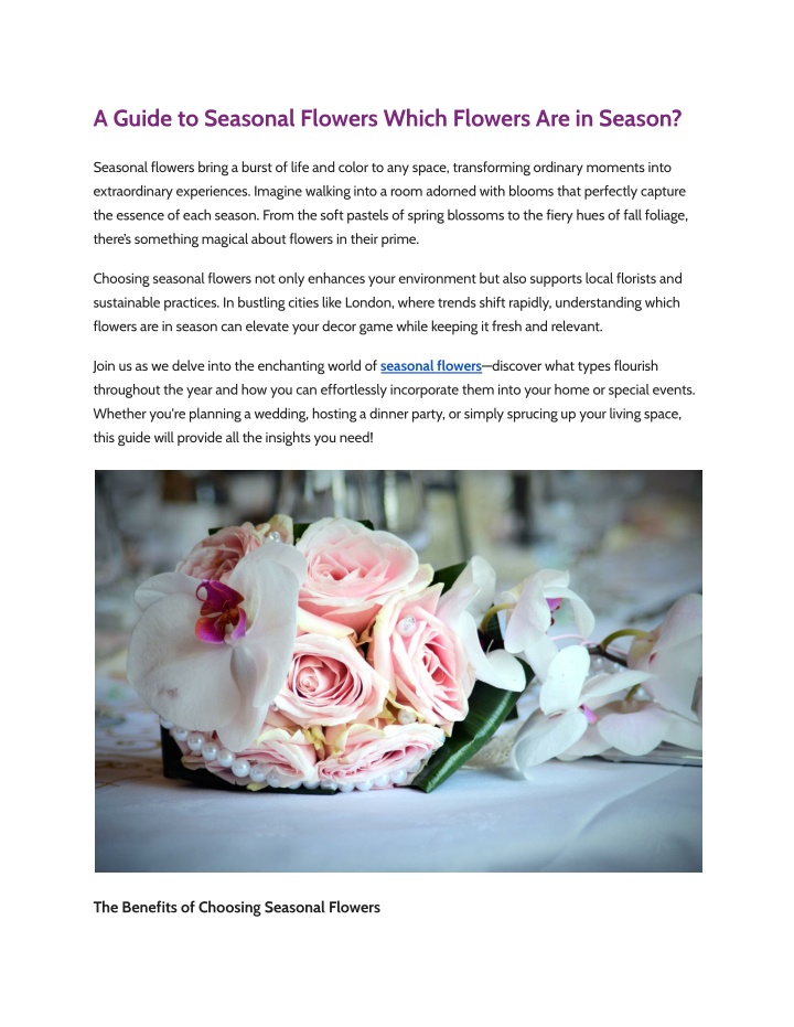 a guide to seasonal flowers which flowers n.w