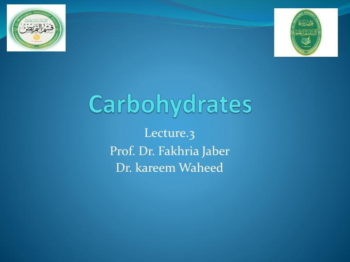 lecture 3 n.w
