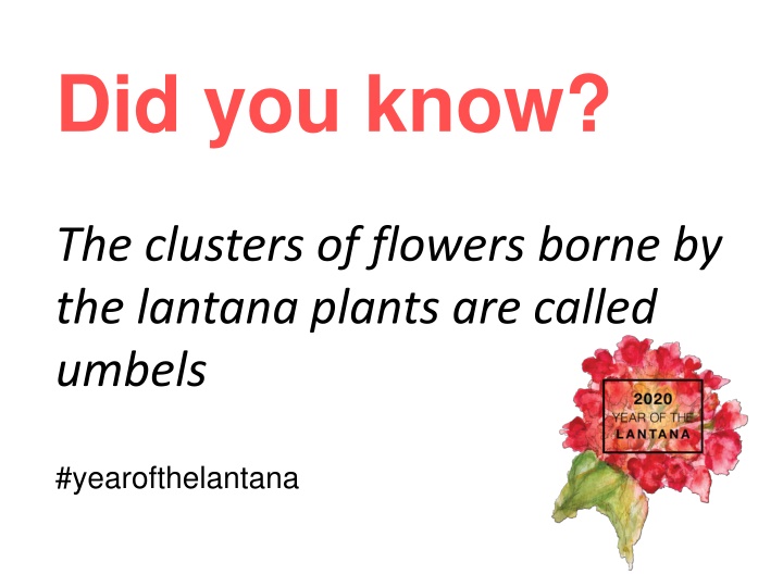 did you know n.w