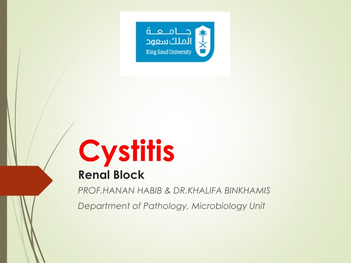 cystitis renal block prof hanan habib dr khalifa n.w