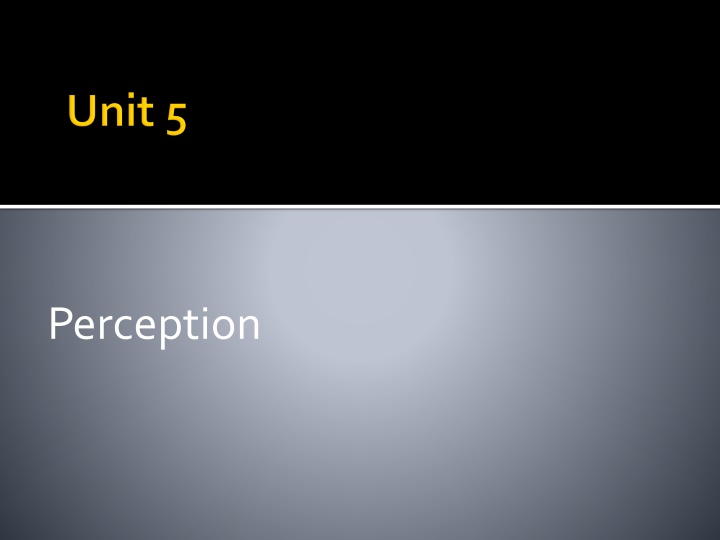 perception n.w