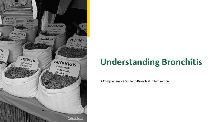 understanding bronchitis n.w