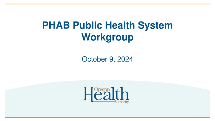 phab public health system workgroup n.w