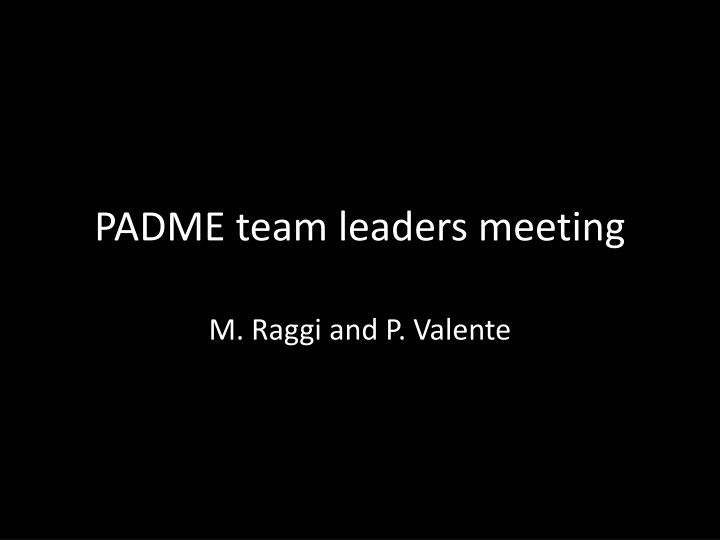 padme team leaders meeting n.w