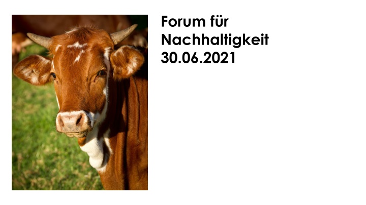 forum f r nachhaltigkeit 30 06 2021 n.w