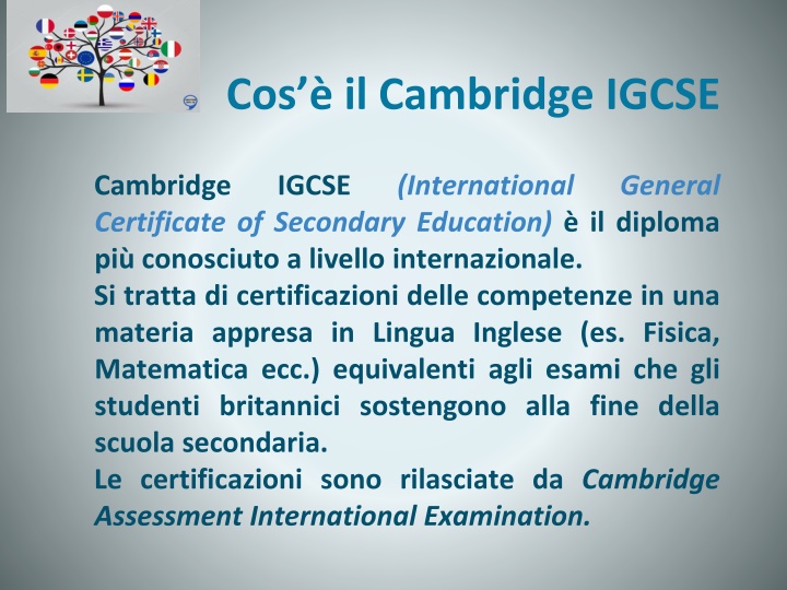 Cambridge International School Programs