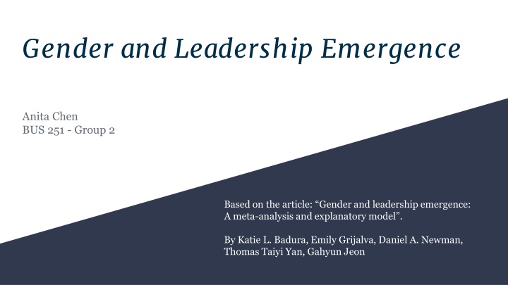 gender and leadership emergence n.w