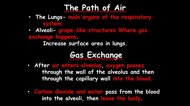 the path of air n.w