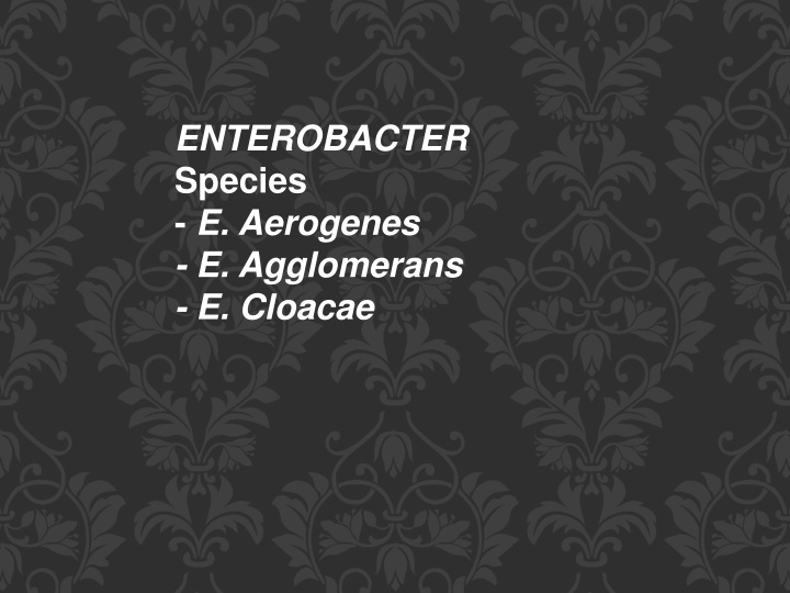 enterobacter species e aerogenes e agglomerans n.w