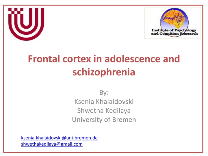 frontal cortex in adolescence and schizophrenia n.w