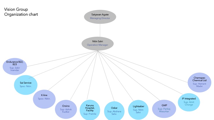 vision group vision group organization chart n.w
