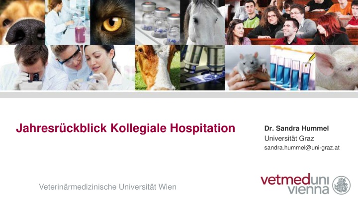 jahresr ckblick kollegiale hospitation n.w