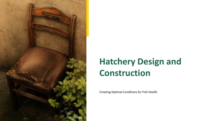 Creating Optimal Conditions for Fish Health at Hatchery
