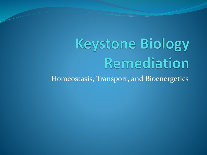 homeostasis transport and bioenergetics n.w