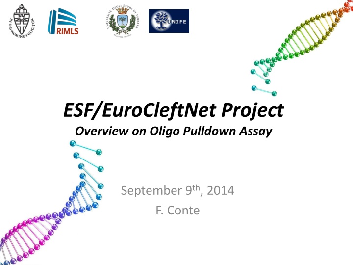 esf eurocleftnet project overview on oligo n.w