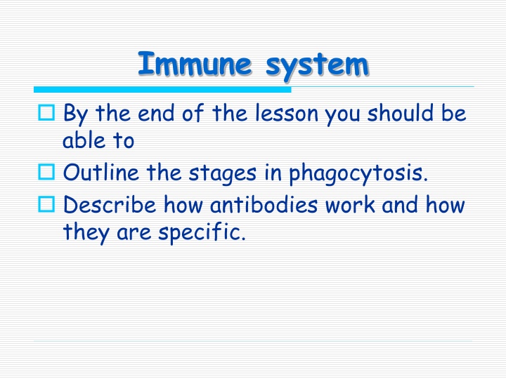 immune system n.w