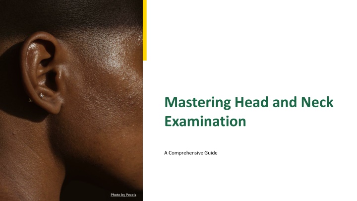 mastering head and neck examination n.w