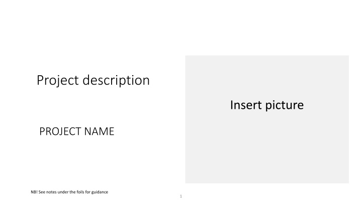 project description n.w