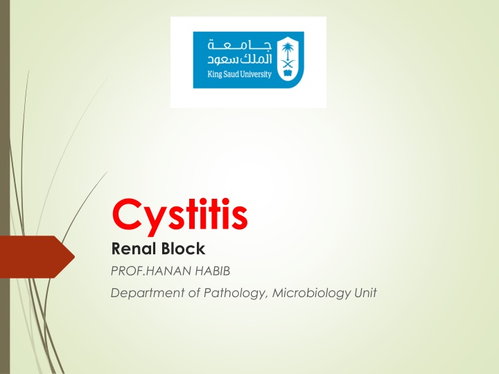 cystitis renal block prof hanan habib n.w