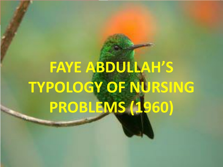 faye abdullah s typology of nursing problems 1960 n.w
