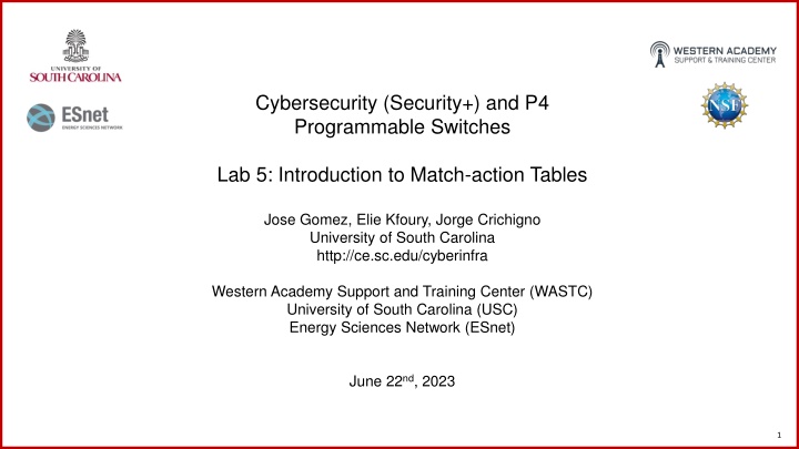 cybersecurity security and p4 programmable n.w