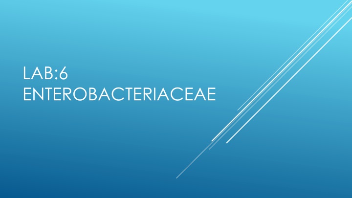 lab 6 enterobacteriaceae n.w