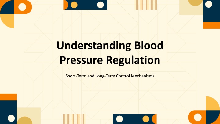 Blood Pressure Regulation Mechanisms Overview