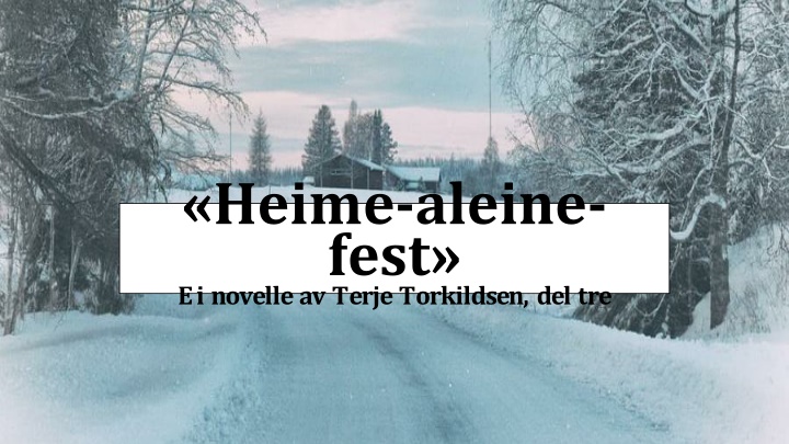 heime aleine fest ei novelle av terje torkildsen n.w