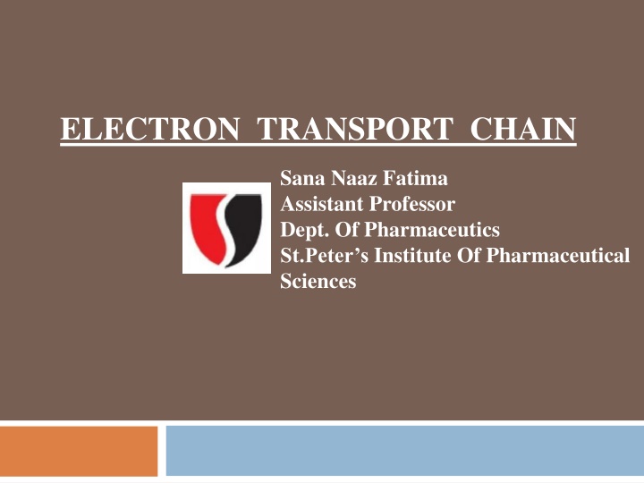 electron transport chain n.w