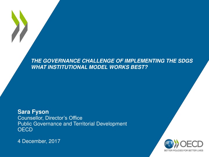 the governance challenge of implementing the sdgs n.w