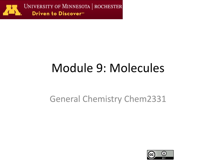module 9 molecules n.w