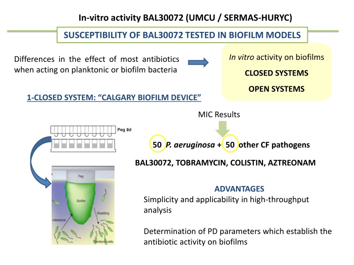 in vitro activity bal30072 umcu sermas huryc n.w