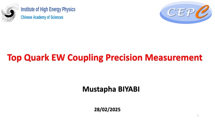 top quark ew coupling precision measurement n.w
