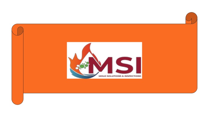 Water Damage Restoration Services - MSI