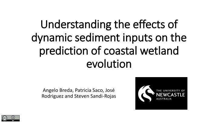 understanding the effects of understanding n.w