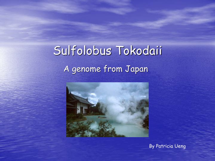 sulfolobus tokodaii n.w