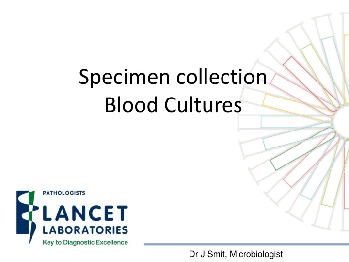 specimen collection blood cultures n.w