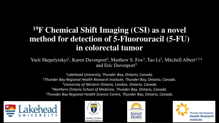 19F Chemical Shift Imaging for 5-Fluorouracil Detection in Colorectal Tumor