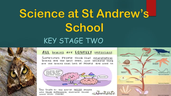 key stage two n.w