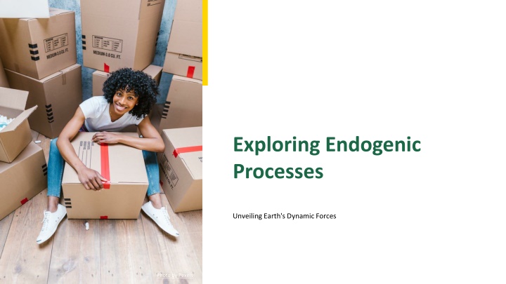 exploring endogenic processes n.w